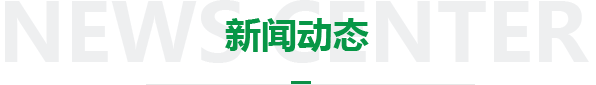 新聞動態(tài)